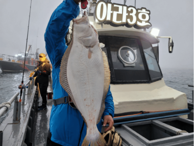 [아라3호] 5월 18일 조황