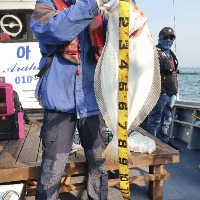 [아라호] 5월 16일 조황