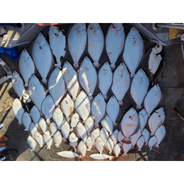 [아라2호] 5월10일 조황