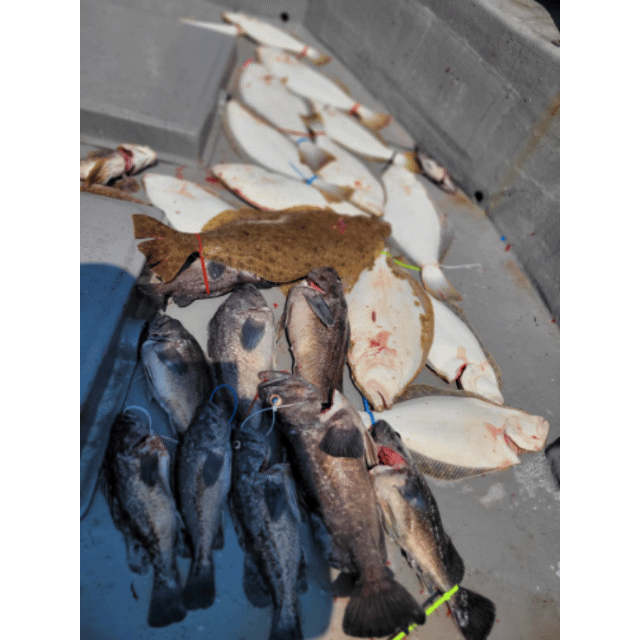 [아라3호] 6월 24일 조황