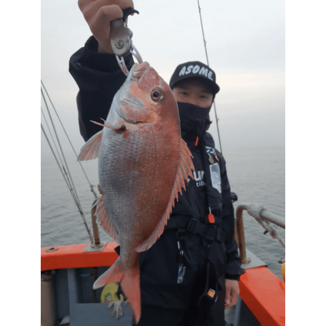 [아라2호] 6월 1일 조황