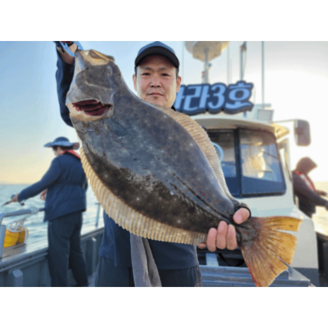 [아라3호] 6월 3일 조황