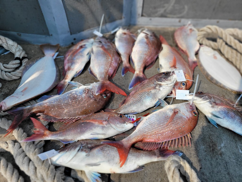 [아라2호] 7월 20일 조황