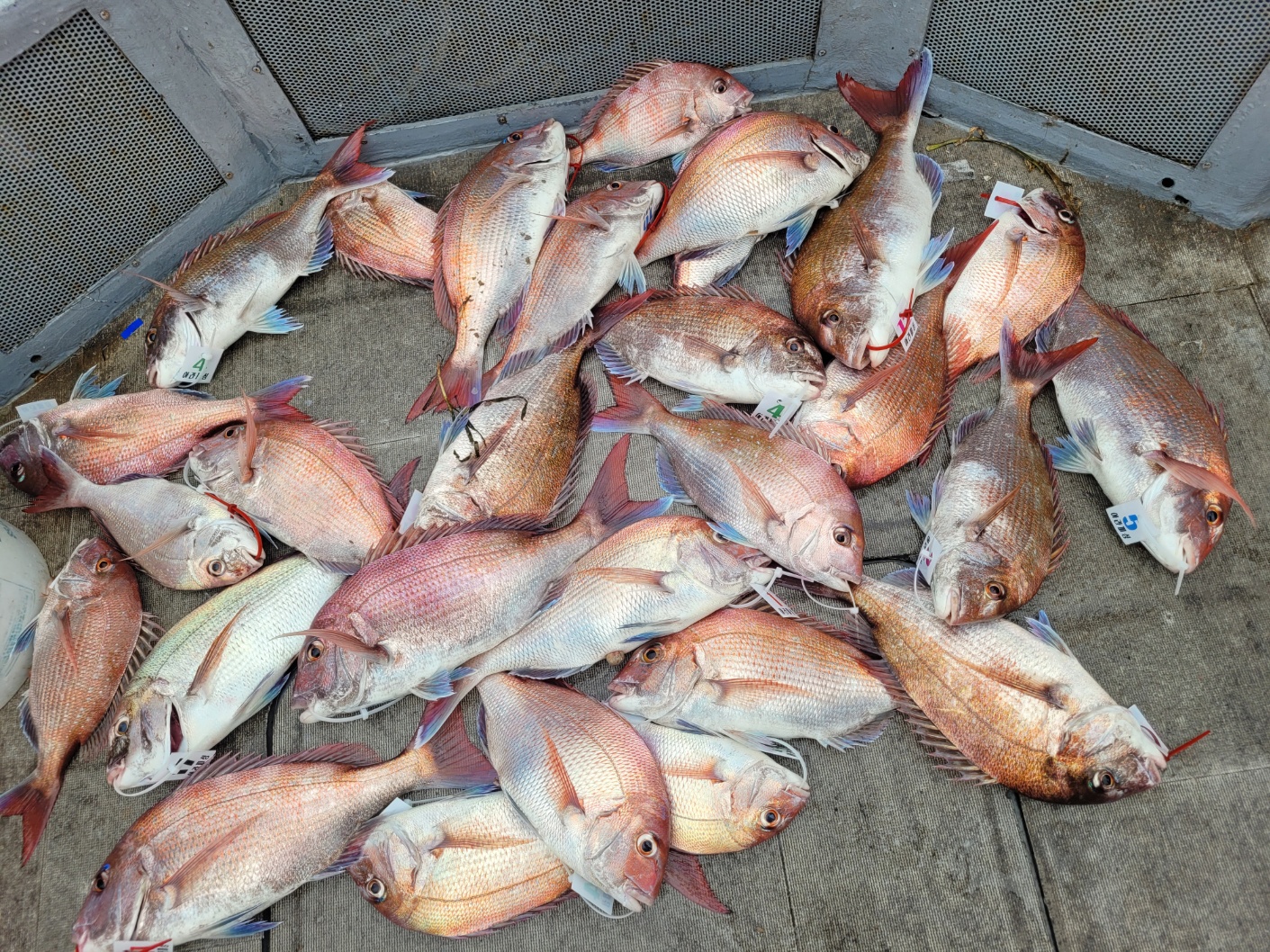 [아라2호] 7월 16일 조황