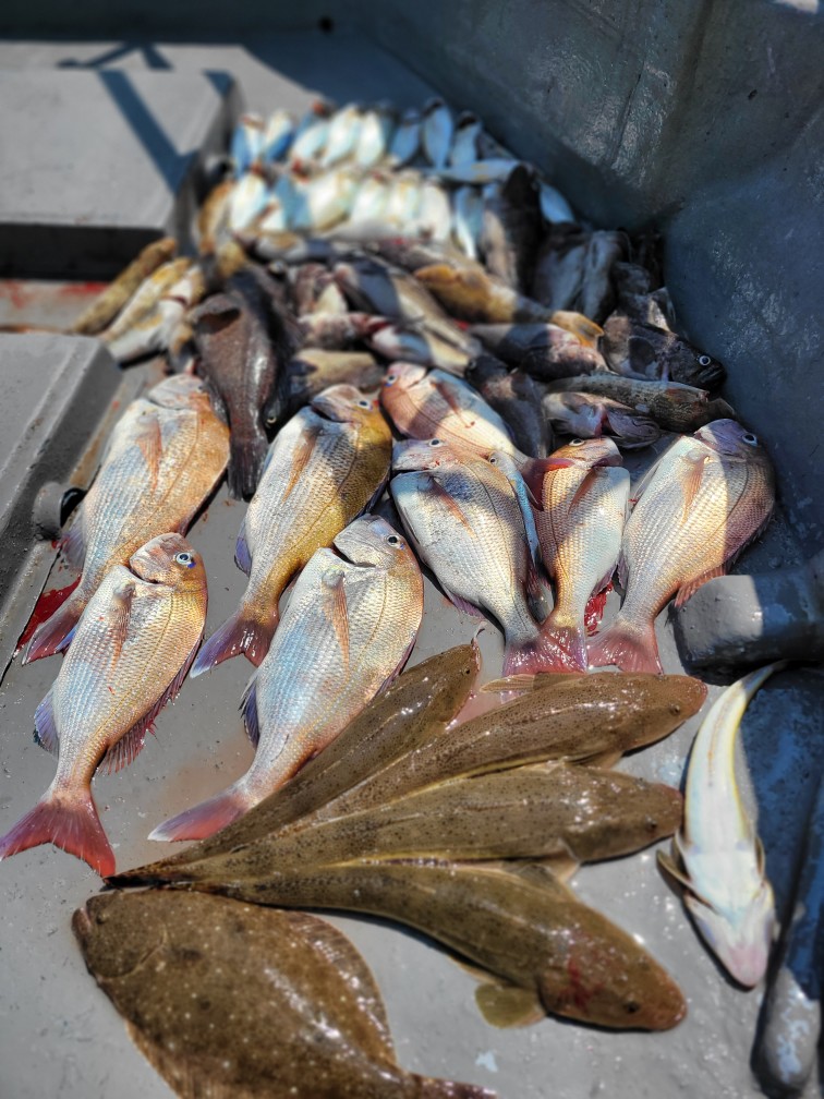 [아라3호] 7월 1일 조황