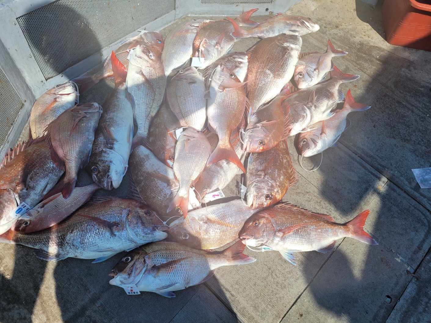 [아라2호] 7월 1일 조황