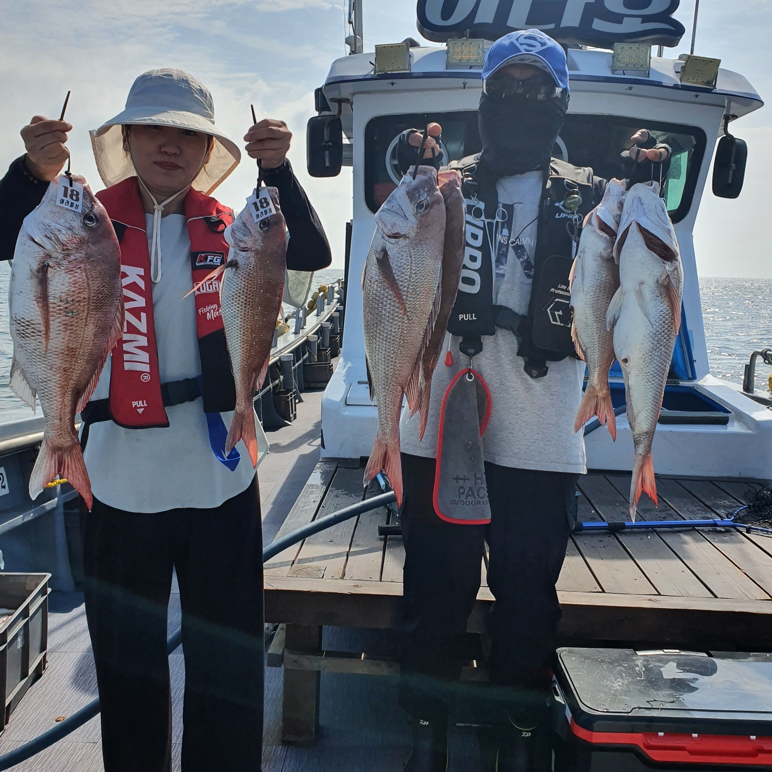 [아라호] 8월 26일 조황