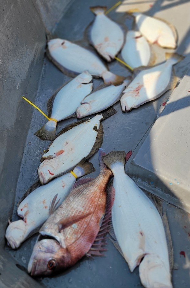 [아라3호] 8월 6일 조황