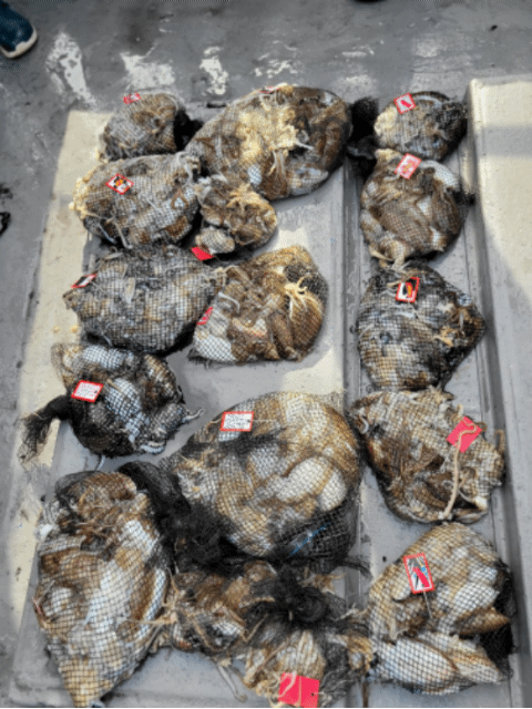 [아라3호] 9월 23일 조황