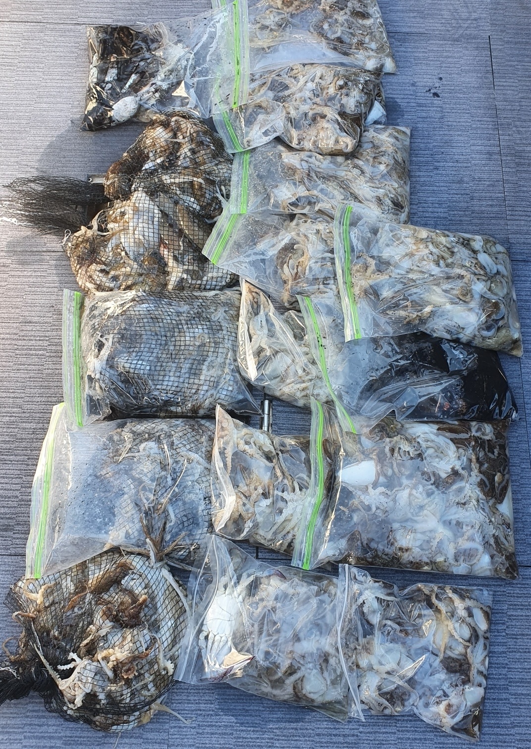 [아라호] 9월 22일 독선출조 조황