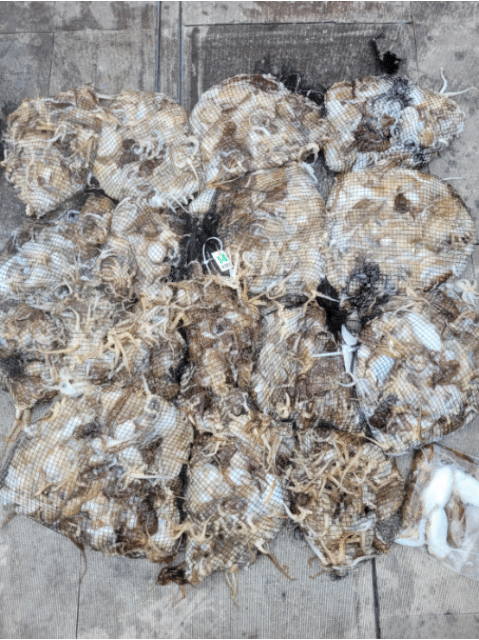 [아라2호] 9월 15일 조황