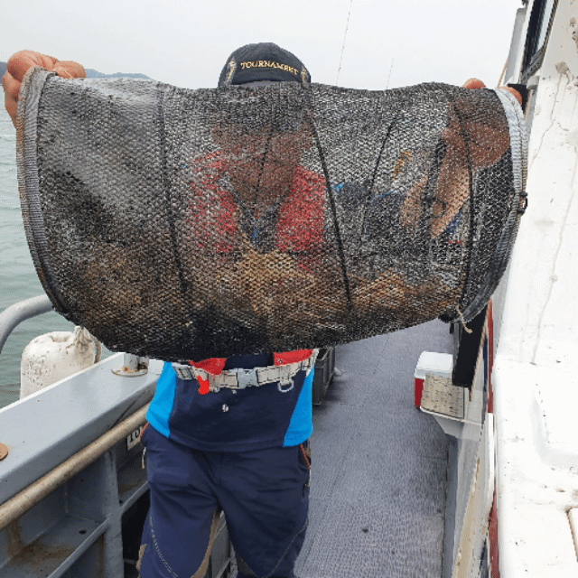 [아라호] 9월 19일 조황