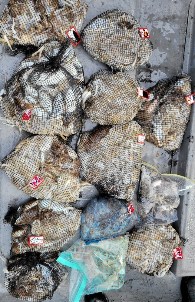 [아라3호] 9월 24일 조황