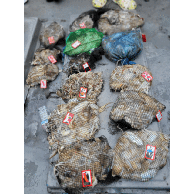 [아라3호] 9월 16일 조황