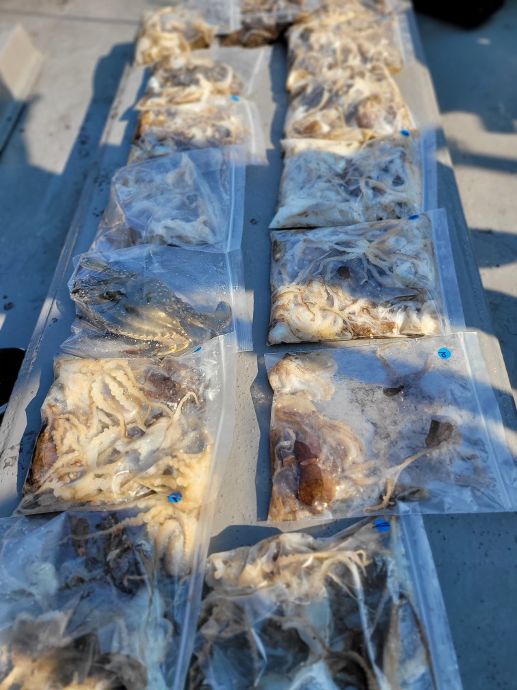 [아라3호] 9월 1일 조황