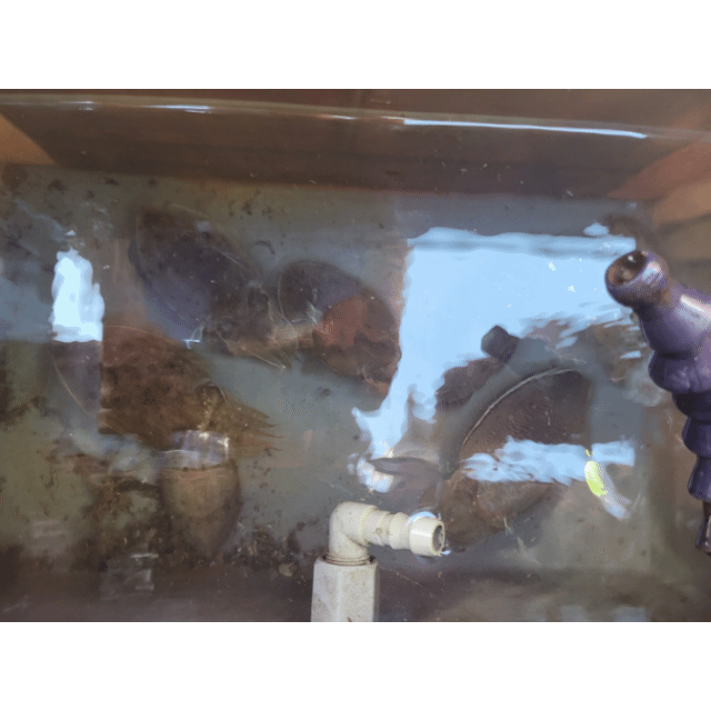 [아라2호] 9월 18일 조황