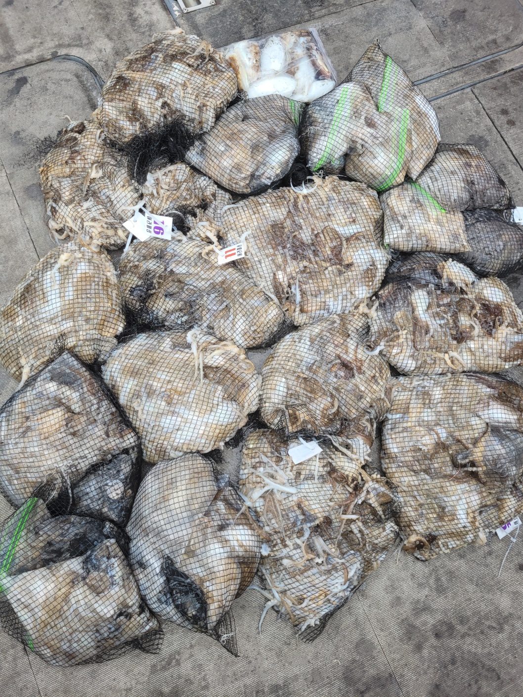 [아라2호] 9월 16일 조황