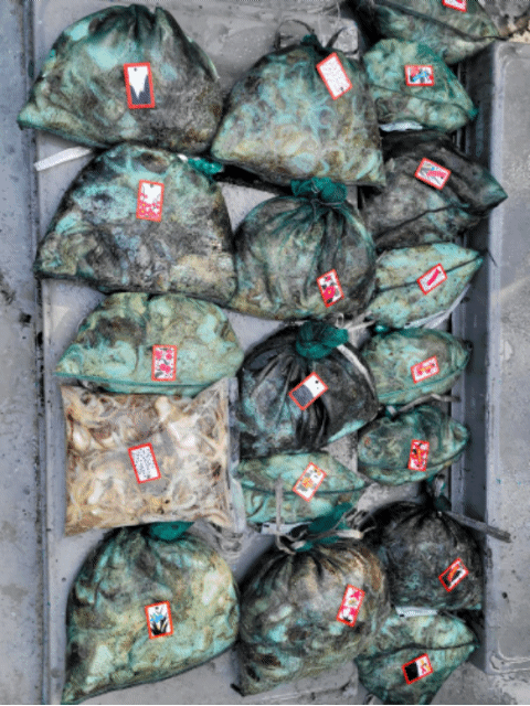 [아라3호] 10월 13일 조황