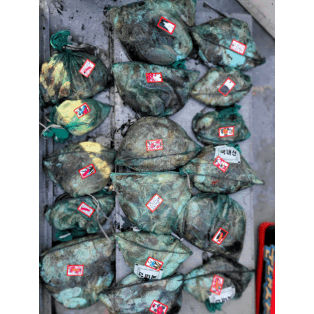 [아라3호] 10월 14일 조황