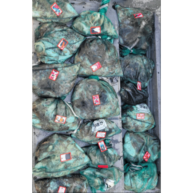 [아라3호] 10월 12일 조황