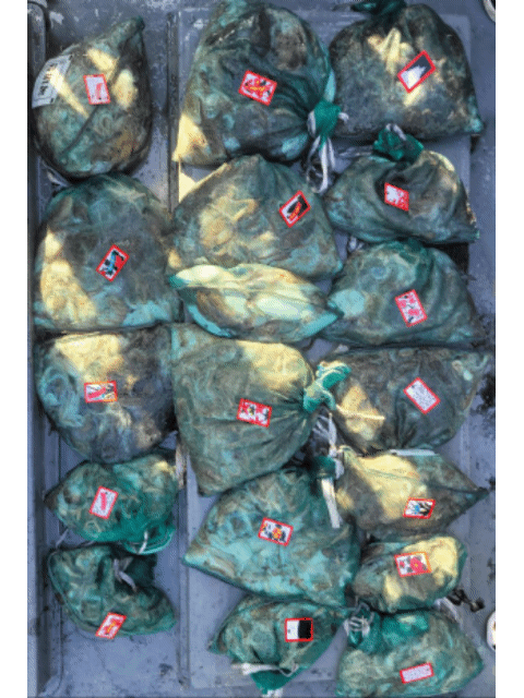 [아라3호] 10월 11일 조황