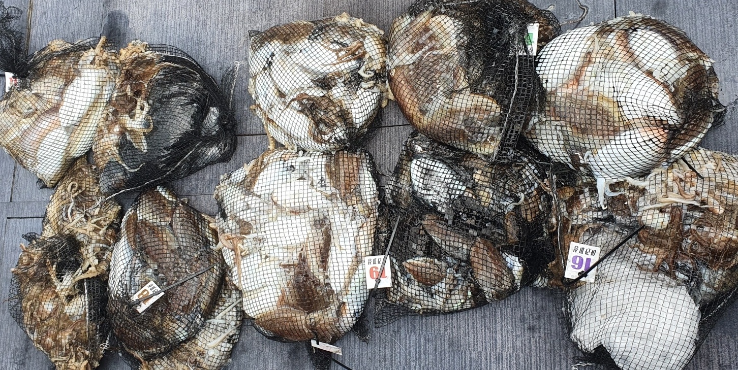 [아라호] 10월 18일 조황