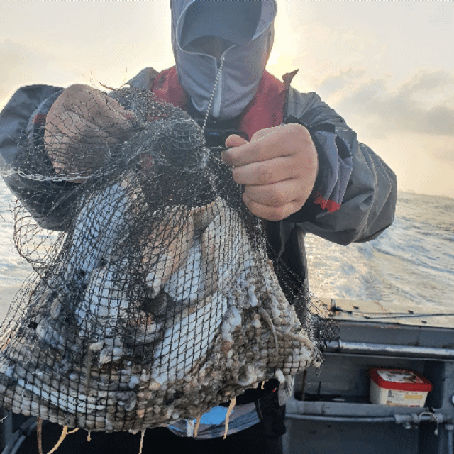 [아라호] 10월 25일 조황