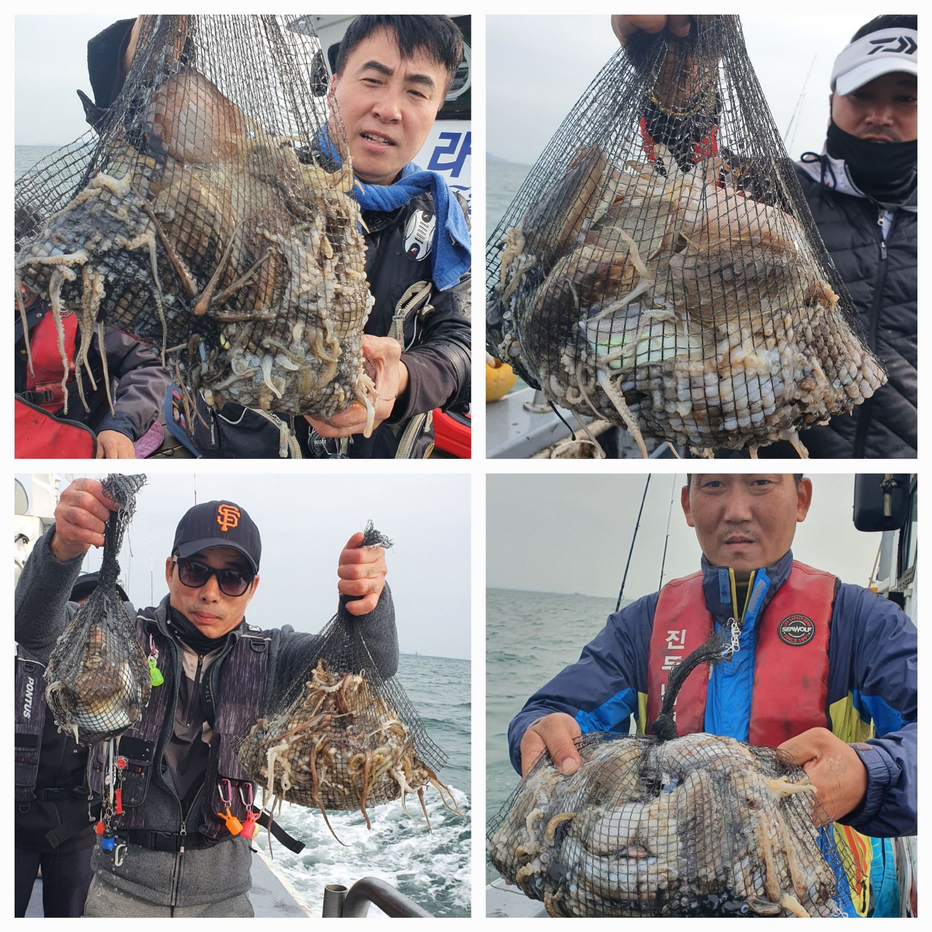 [아라호] 10월 7일 조황