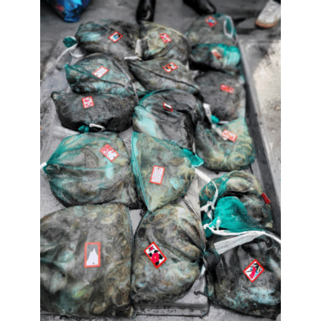 [아라3호] 10월 22일 조황