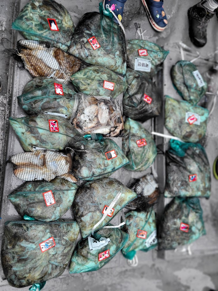 [아라3호] 10월 8일 조황