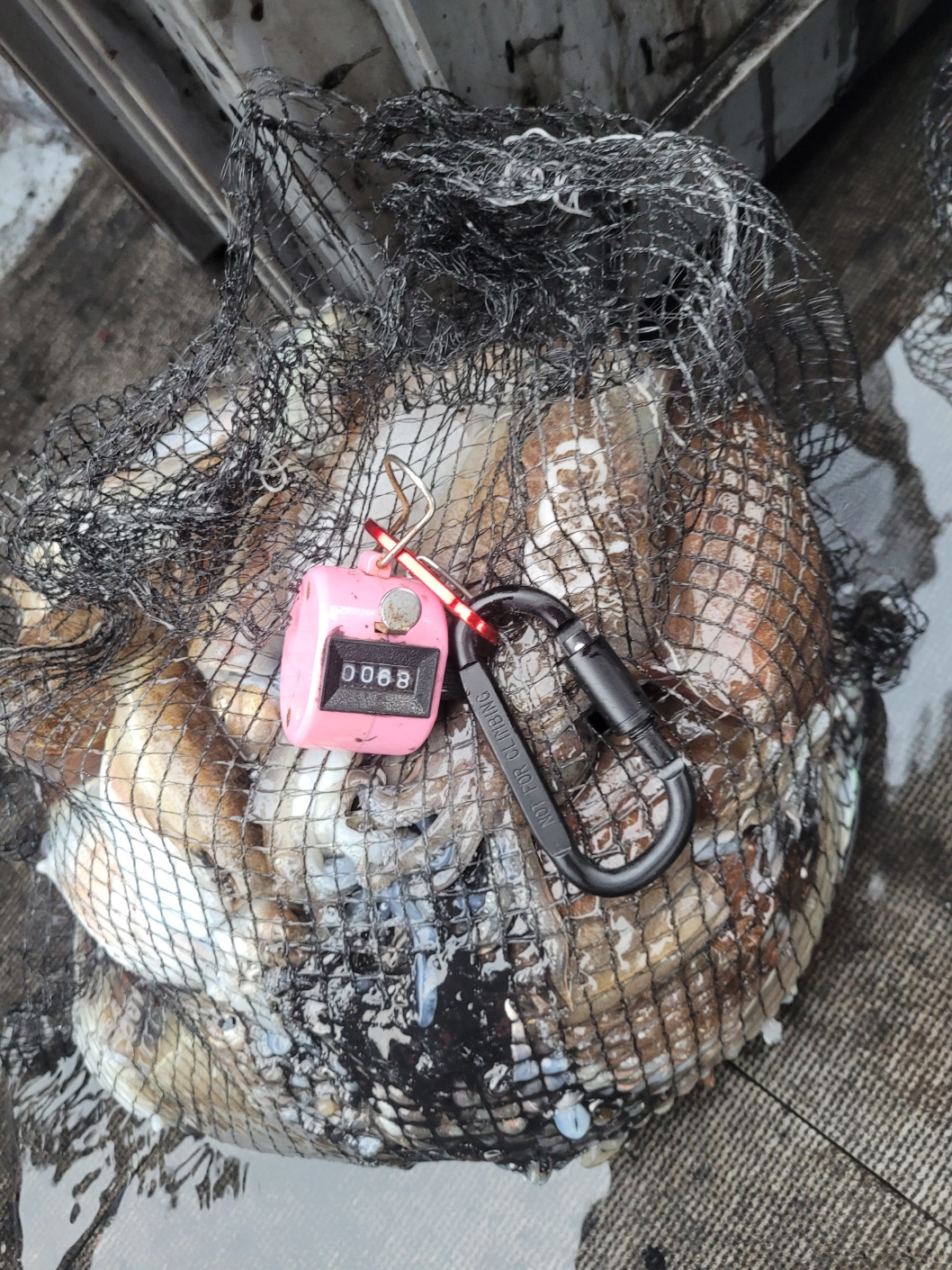 [아라2호] 10월 6일 조황