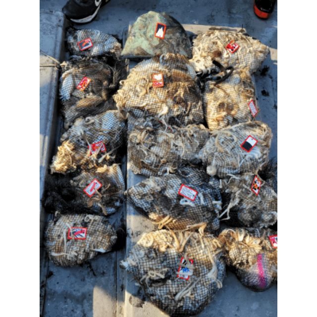 [아라3호] 10월 25일 조황