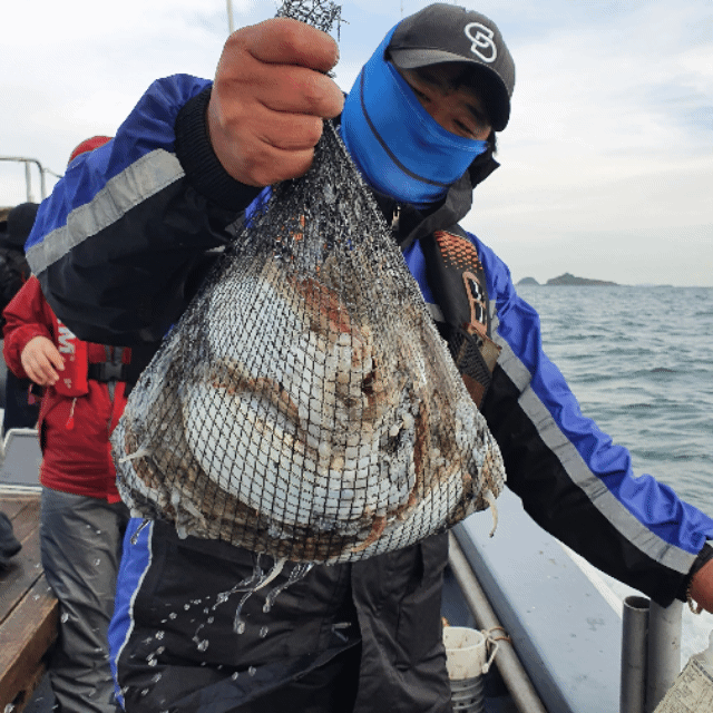 [아라호] 10월 22일 조황