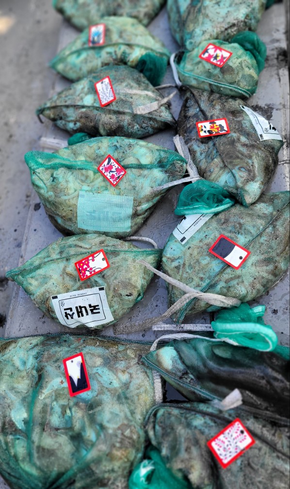 [아라3호] 10월 10일 조황