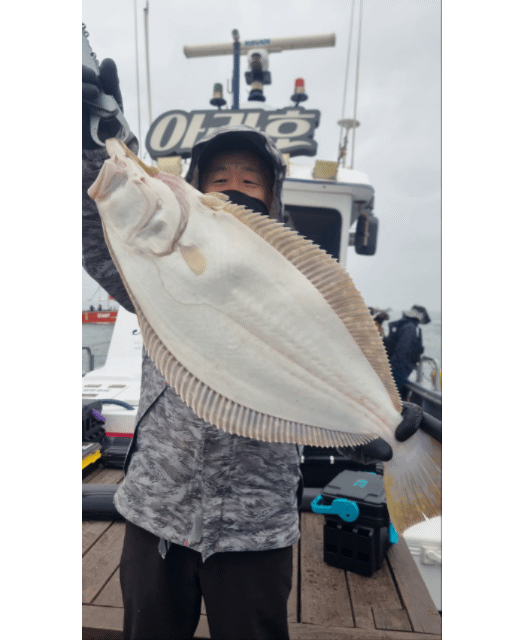 [아라호] 4월 20일 조황