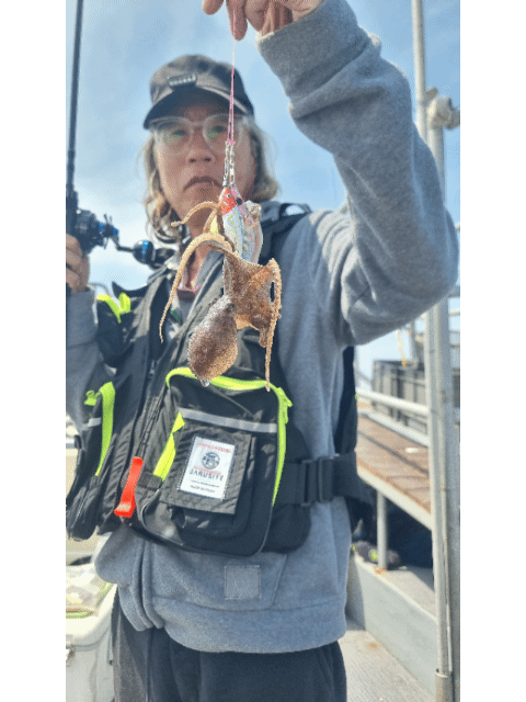 [아라호] 4월 14일 조황