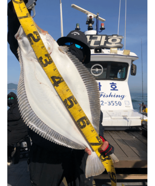 [아라호] 4월 27일 조황 (독선출조)