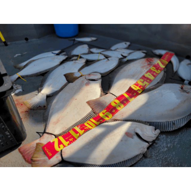 [아라3호] 5월 4일 조황