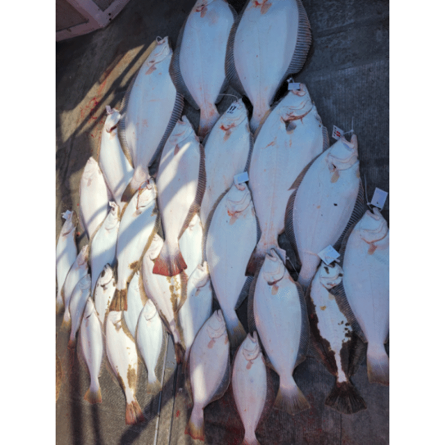 [아라2호] 5월 3일 조황