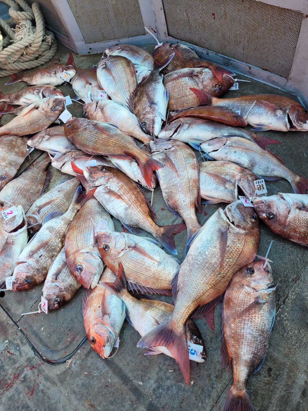 [아라2호] 5월 13일 조황