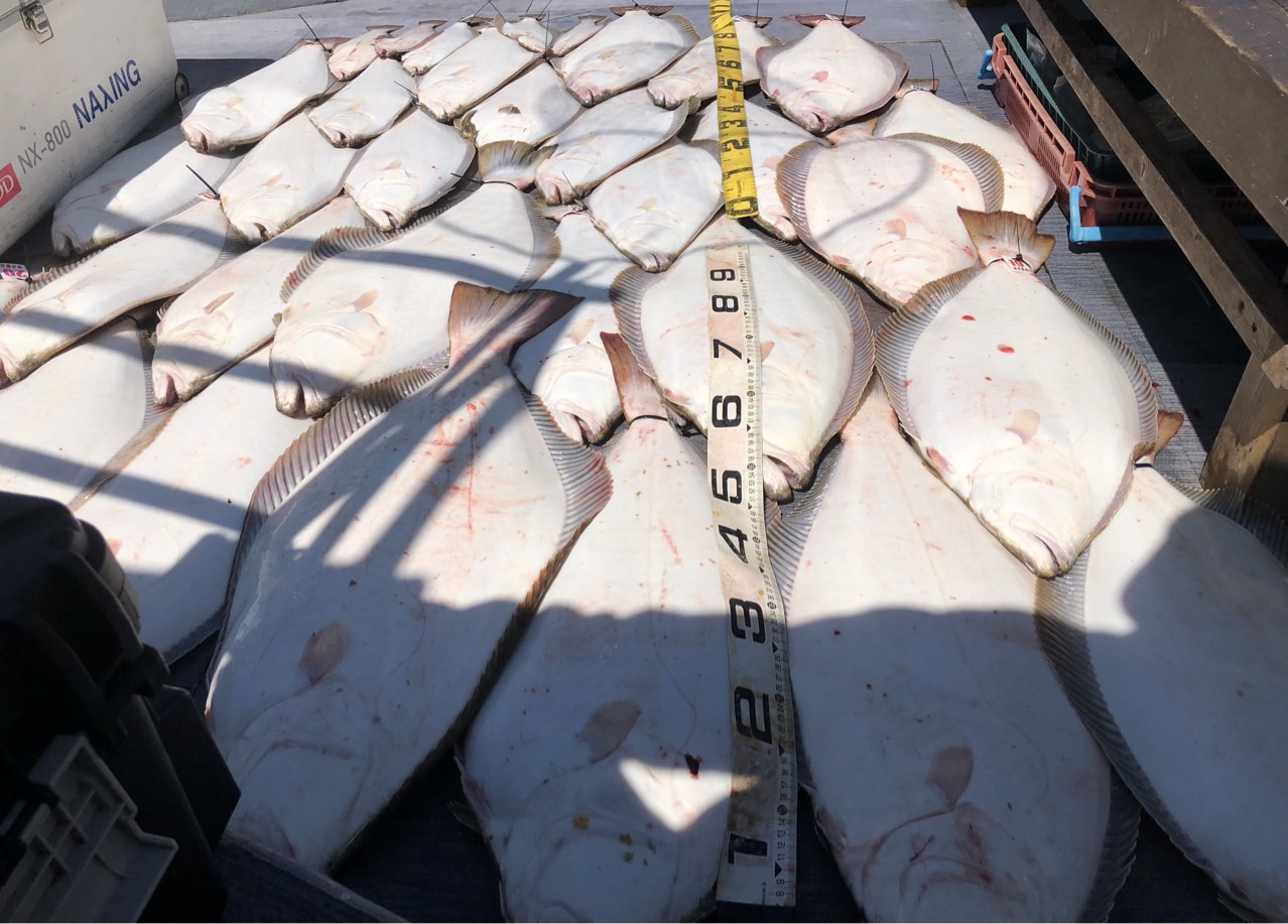 [아라호] 5월 16일 조황(10인출조)