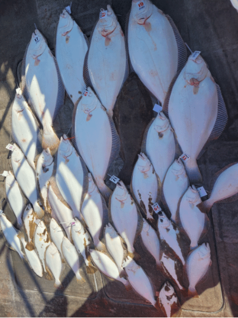 [아라2호] 5월 4일 조황