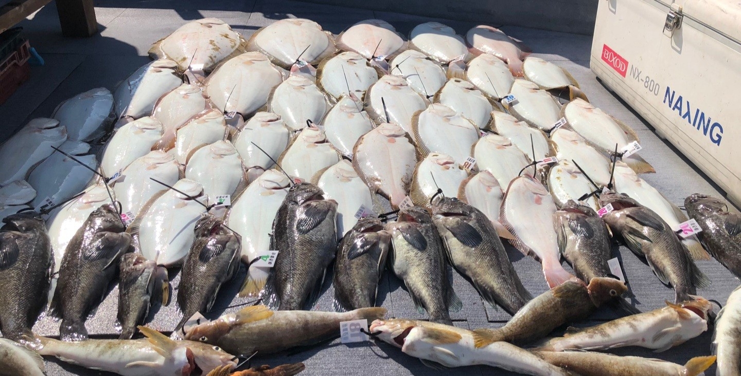 [아라호] 5월 31일 조황