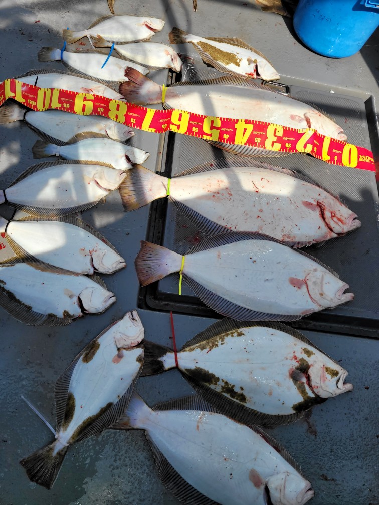 [아라3호] 5월 12일 조황