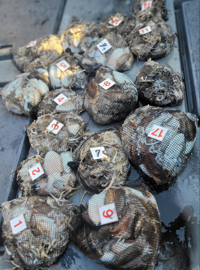 [아라3호] 10월 9일 조황