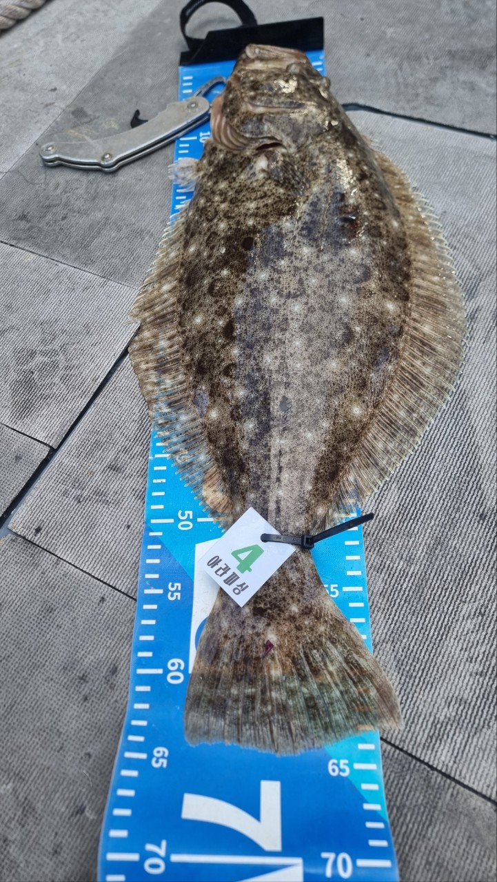 [아라2호] 12월 7일 조황