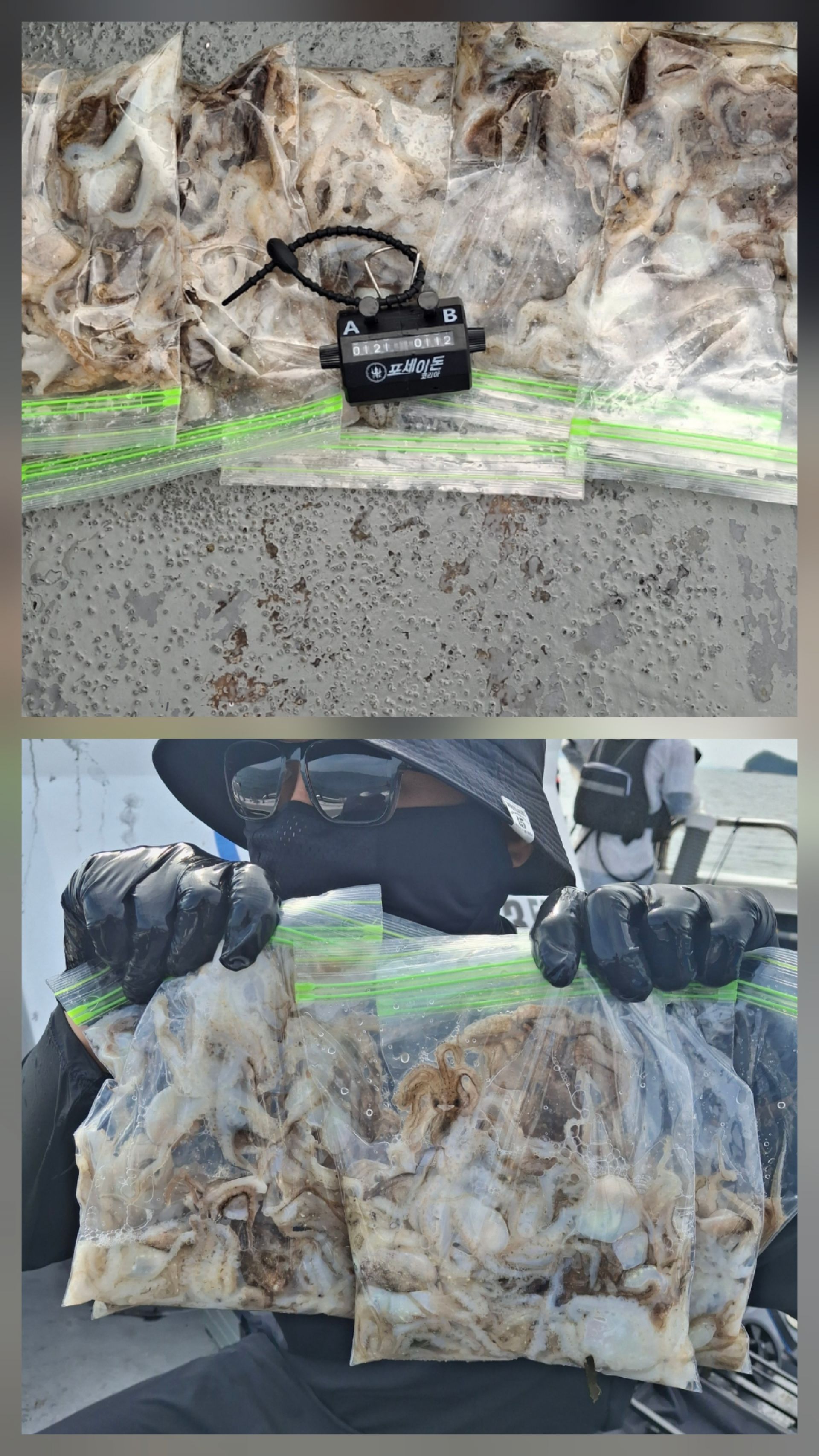 영흥도아라3호 9월 4일 조황