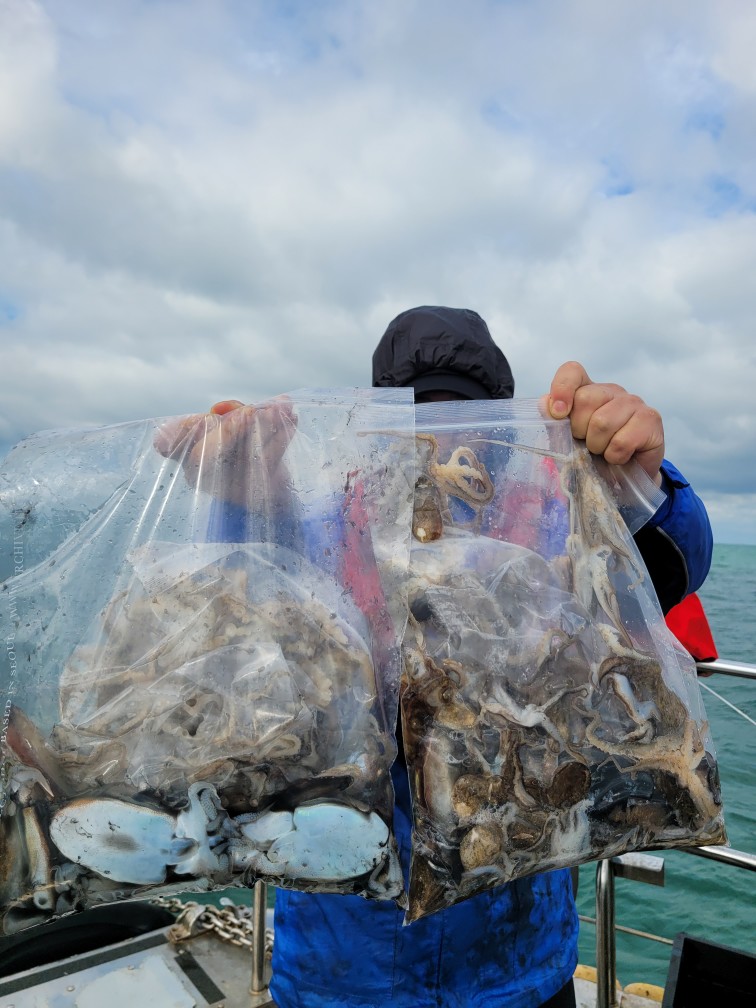 영흥도아라3호  9월 28일 조황