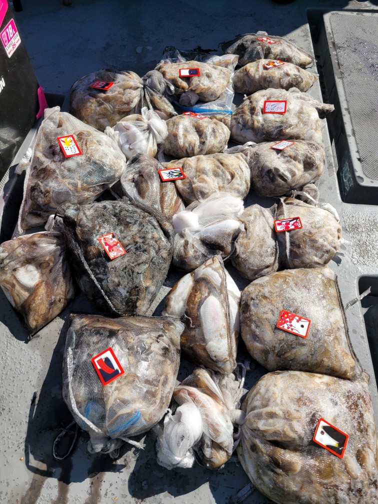 영흥도아라3호 9월 21일 조황