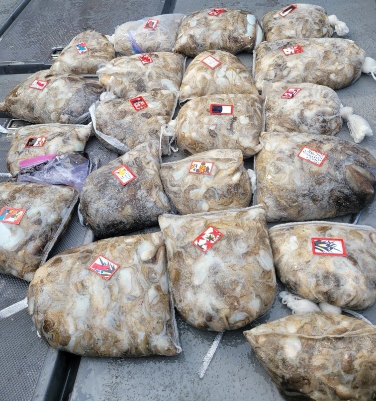 영흥도아라3호 9월 15일 조황